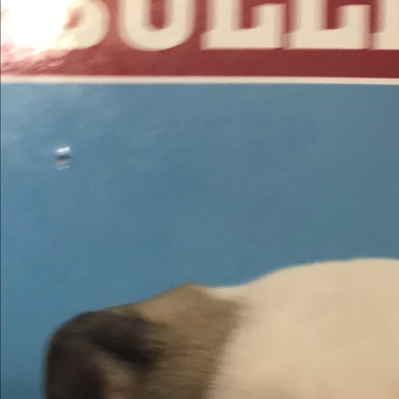 SOLD - Picture 5 of 5